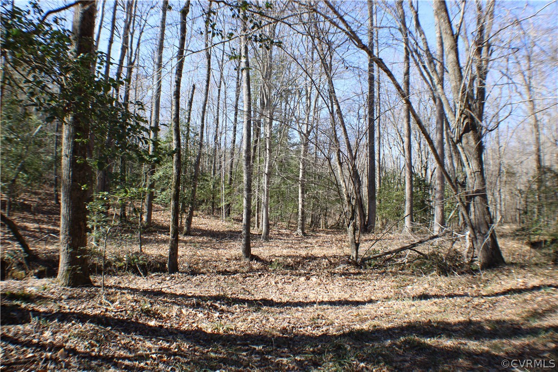 12030 Bundle Road Chesterfield, VA 23838 - Photo 13 of 31 a backyard of a house with lots of green space