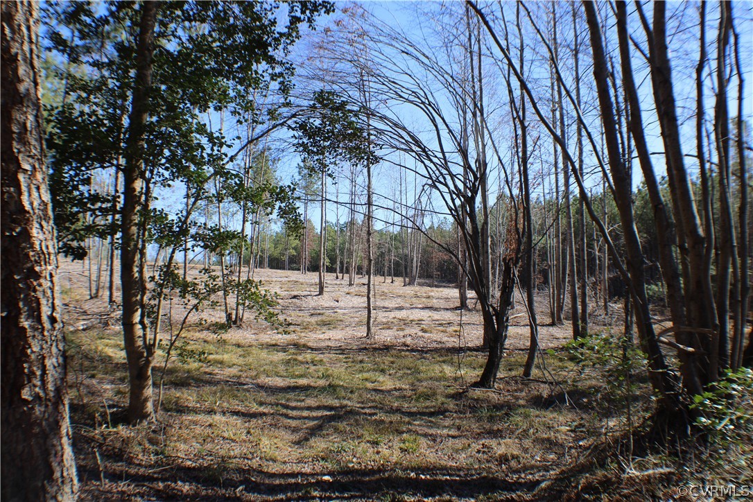 12030 Bundle Road Chesterfield, VA 23838 - Photo 14 of 31 a view of yard