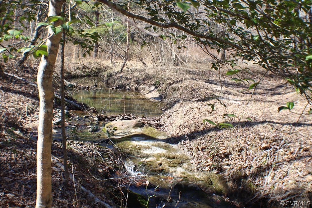 12030 Bundle Road Chesterfield, VA 23838 - Photo 16 of 31