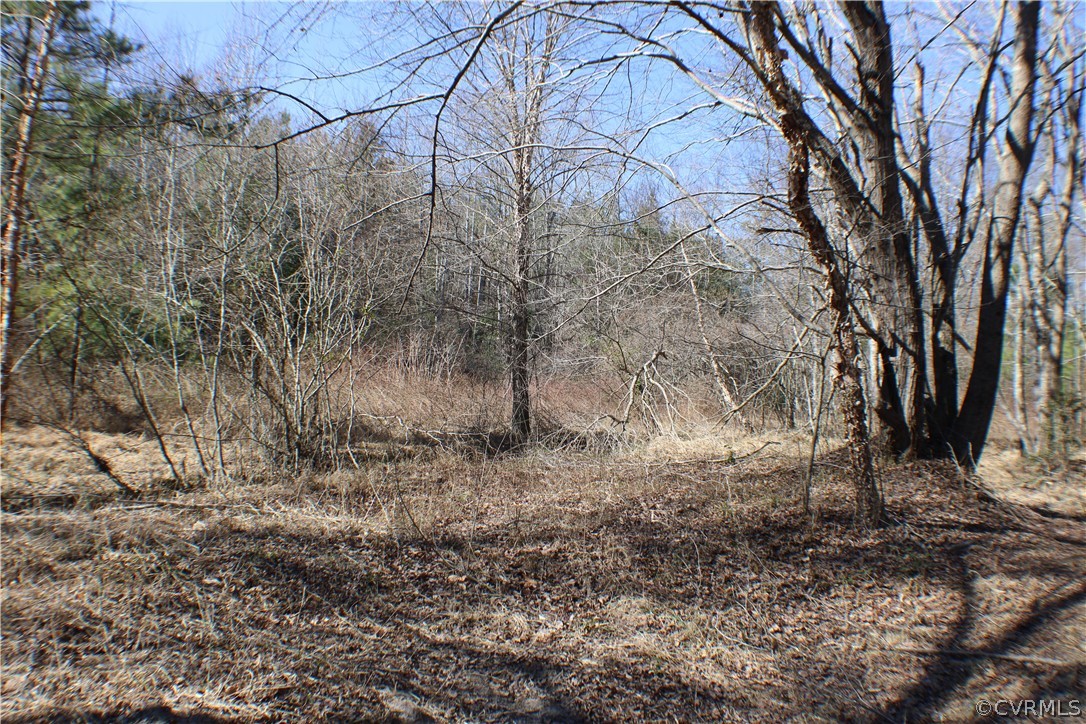 12030 Bundle Road Chesterfield, VA 23838 - Photo 19 of 31 a view of a yard