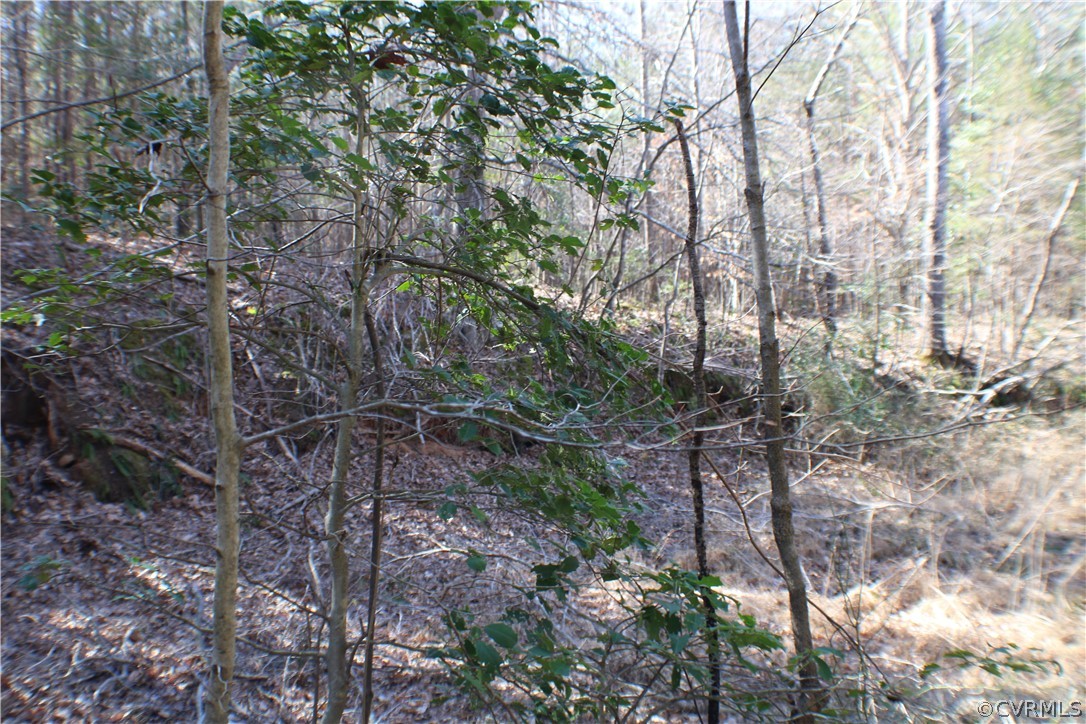 12030 Bundle Road Chesterfield, VA 23838 - Photo 20 of 31 a backyard of a house with lots of trees