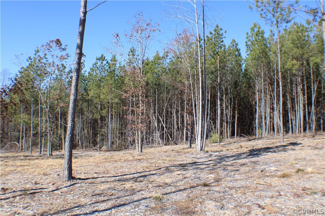 12030 Bundle Road Chesterfield, VA 23838 - Photo 2 of 31 a view of a backyard of a house