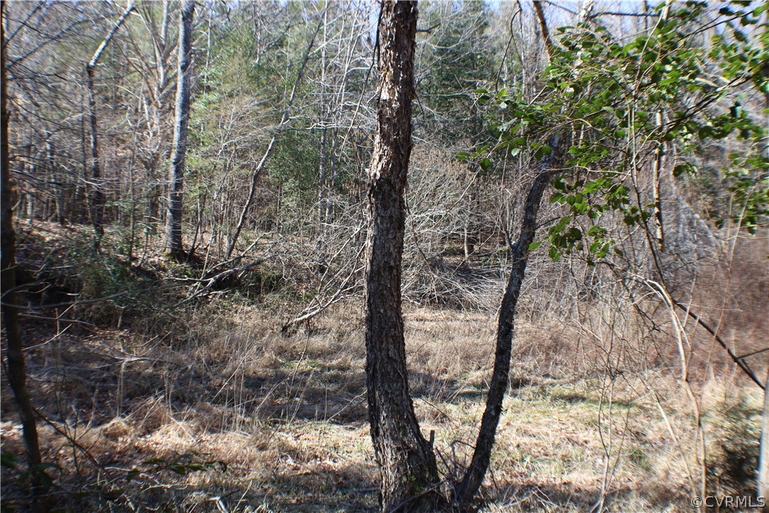 12030 Bundle Road Chesterfield, VA 23838 - Photo 21 of 31 a view of a yard