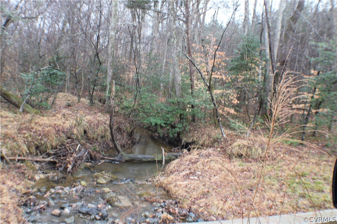 12030 Bundle Road Chesterfield, VA 23838 - Photo 22 of 31 a view of a forest with trees in the background