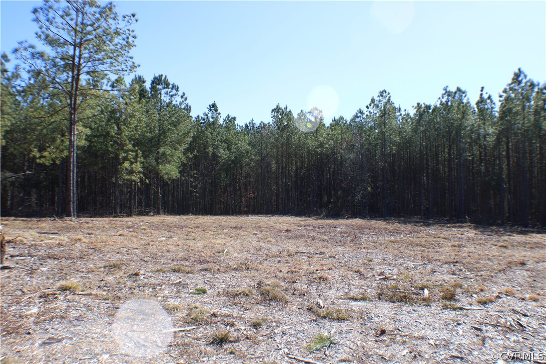 12030 Bundle Road Chesterfield, VA 23838 - Photo 25 of 31