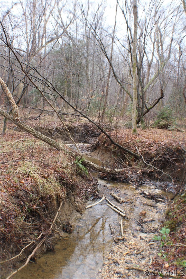 12030 Bundle Road Chesterfield, VA 23838 - Photo 26 of 31 a backyard of a house with lots of green space
