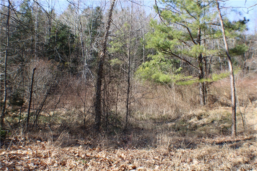 12030 Bundle Road Chesterfield, VA 23838 - Photo 27 of 31 a view of a yard