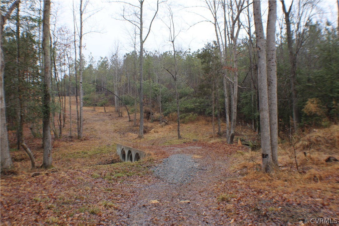 12030 Bundle Road Chesterfield, VA 23838 - Photo 30 of 31 a view of a forest filled with trees