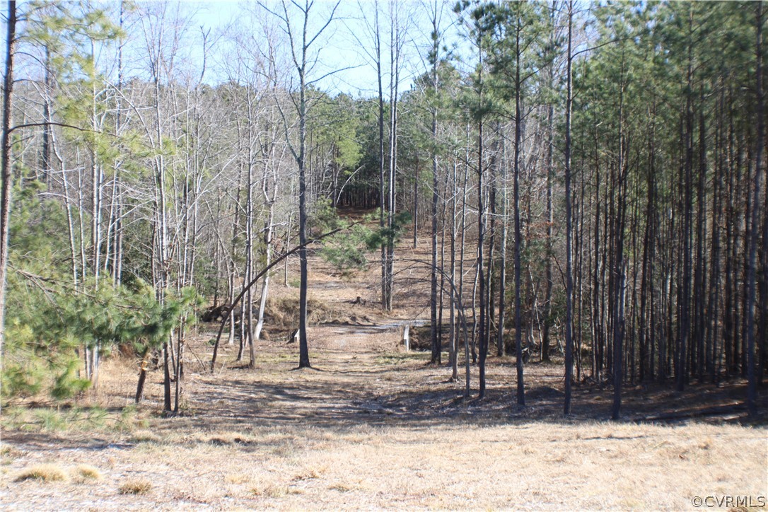 12030 Bundle Road Chesterfield, VA 23838 - Photo 3 of 31 a view of a backyard of the house