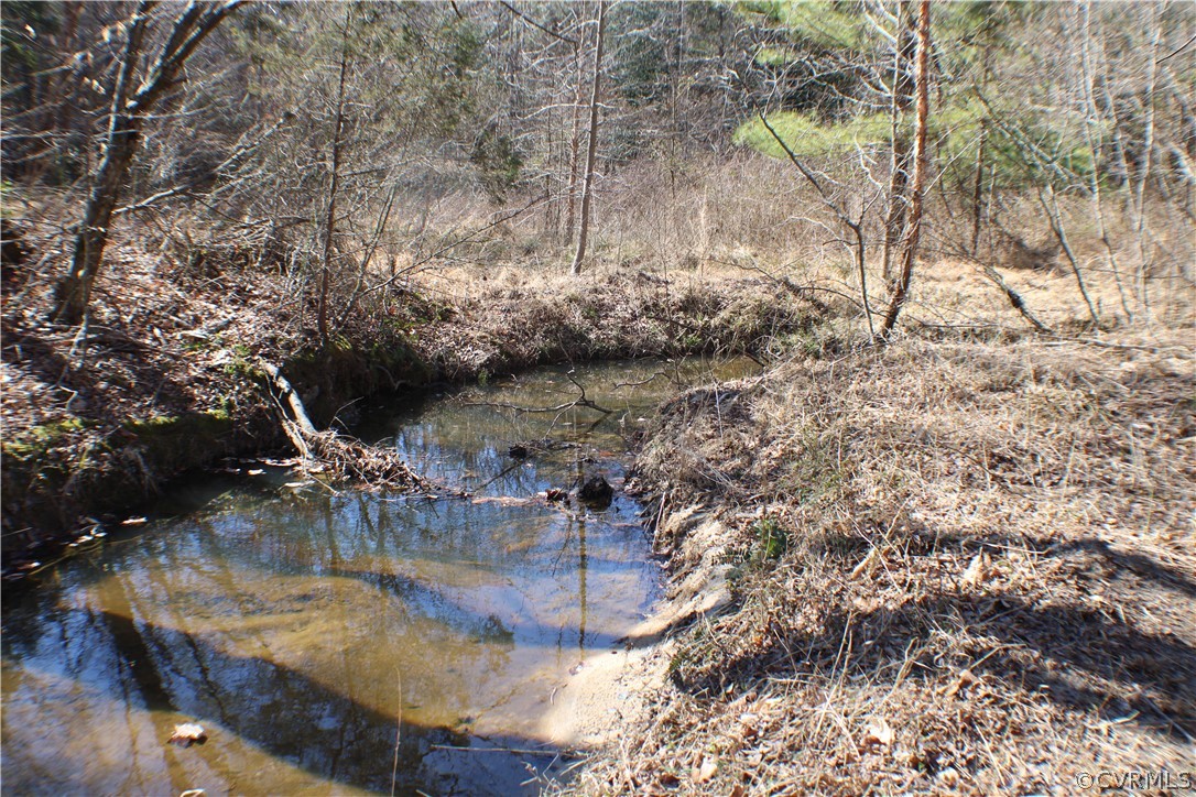12030 Bundle Road Chesterfield, VA 23838 - Photo 5 of 31 a view of water with a yard