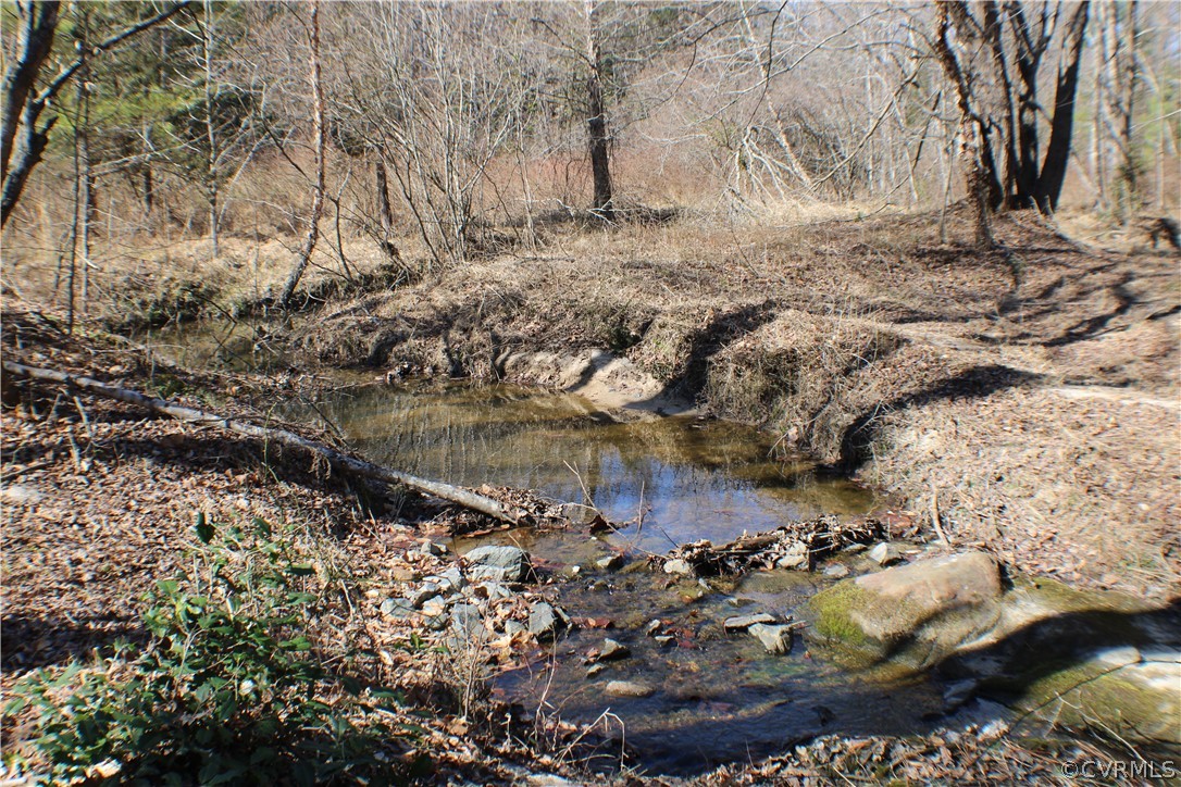 12030 Bundle Road Chesterfield, VA 23838 - Photo 7 of 31