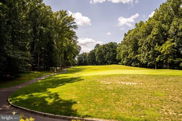 an outdoor space view