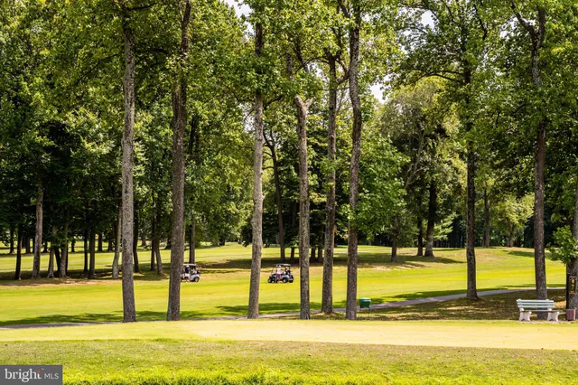 a view of swimming pool with trees