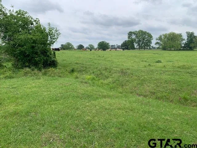 a view of a grassy field with trees around