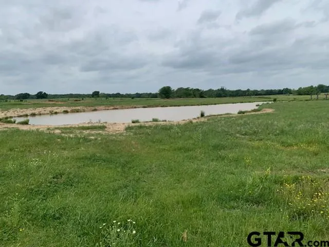 a view of grassy field with trees