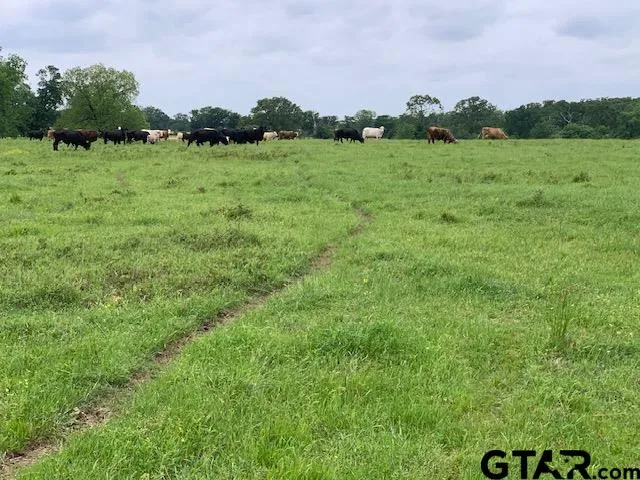 a view of a lake with houses in the background