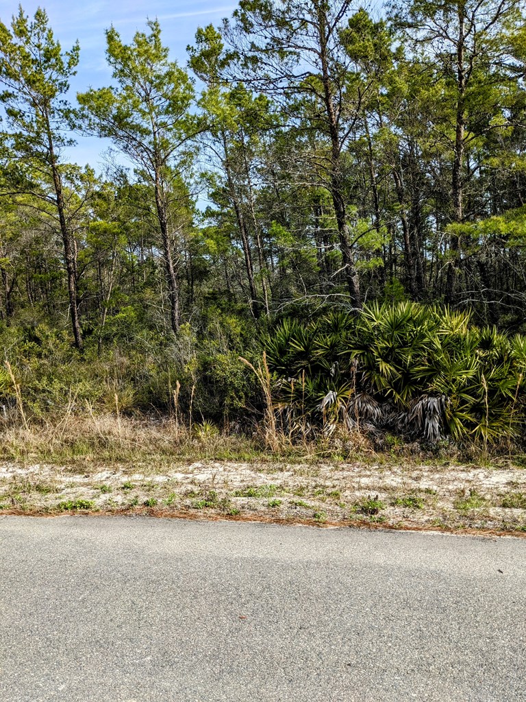 297 Woodill Road Carrabelle, FL 32322 - Photo 2 of 4