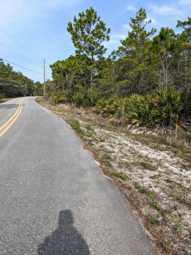 297 Woodill Road Carrabelle, FL 32322 - Photo 3 of 4