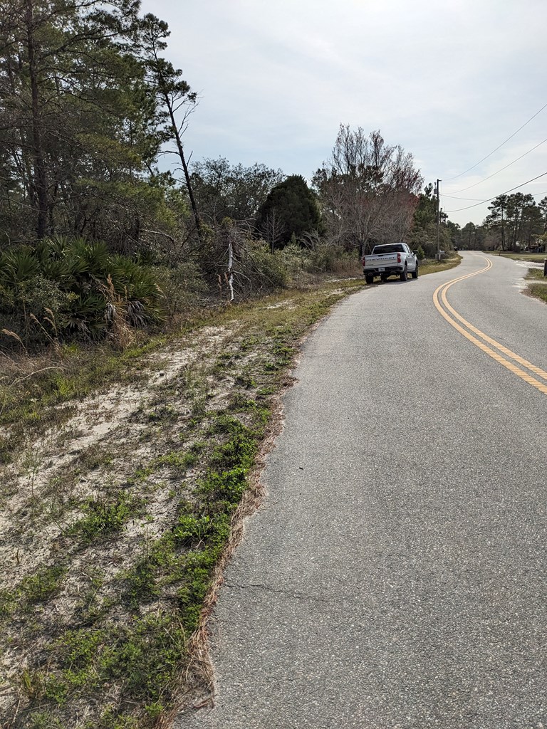 297 Woodill Road Carrabelle, FL 32322 - Photo 4 of 4
