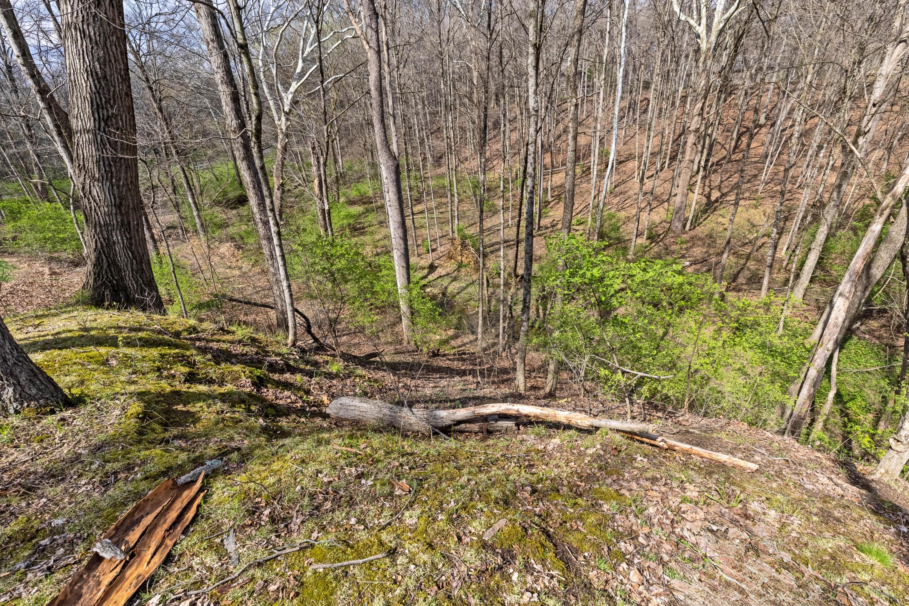 7860 Schott Road Westerville, OH 43081 - Photo 68 of 71 67. Yard