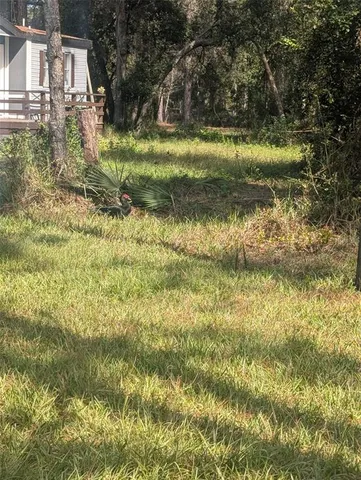 a view of a backyard with a barn