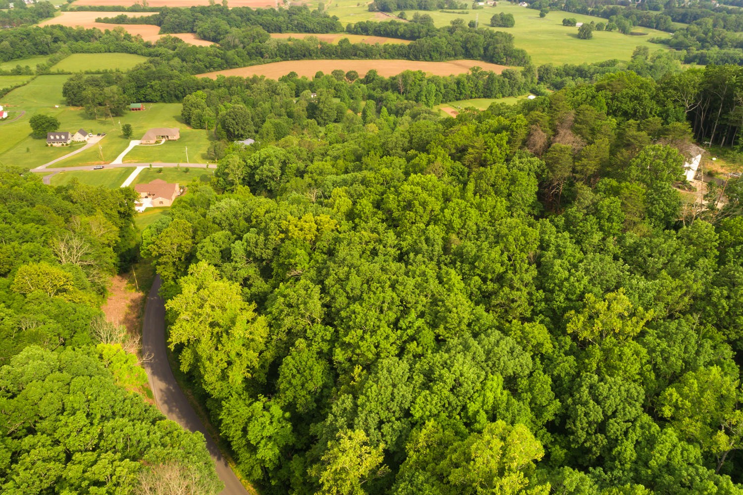 0 Northwest Hooper Gap Road Cleveland, TN 37312 - Photo 20 of 29 Gallery Image 20