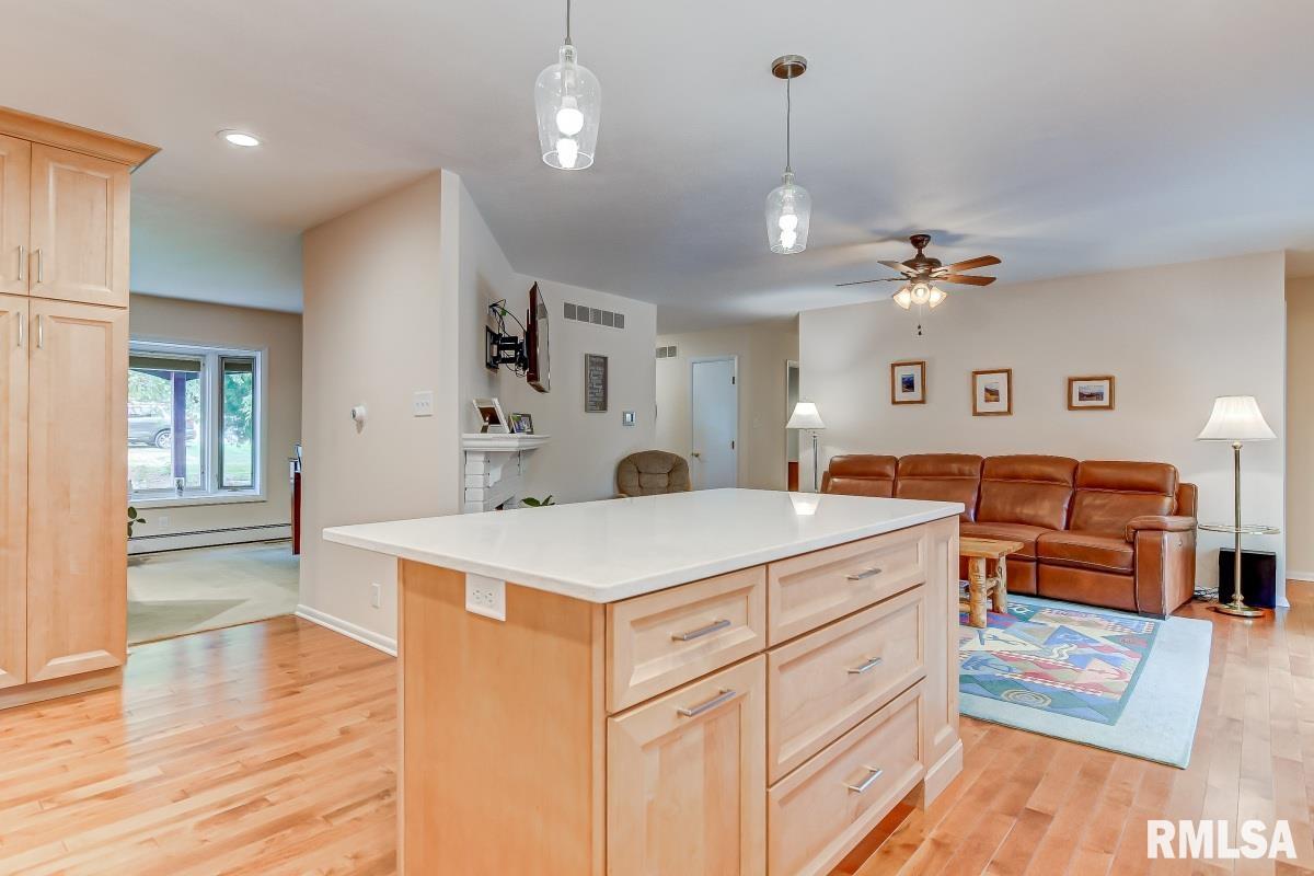 772 Pecan Point Road Petersburg, IL 62675 - Photo 20 of 50 Gallery Image 20