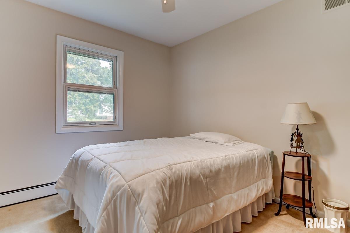 772 Pecan Point Road Petersburg, IL 62675 - Photo 28 of 50 Gallery Image 28