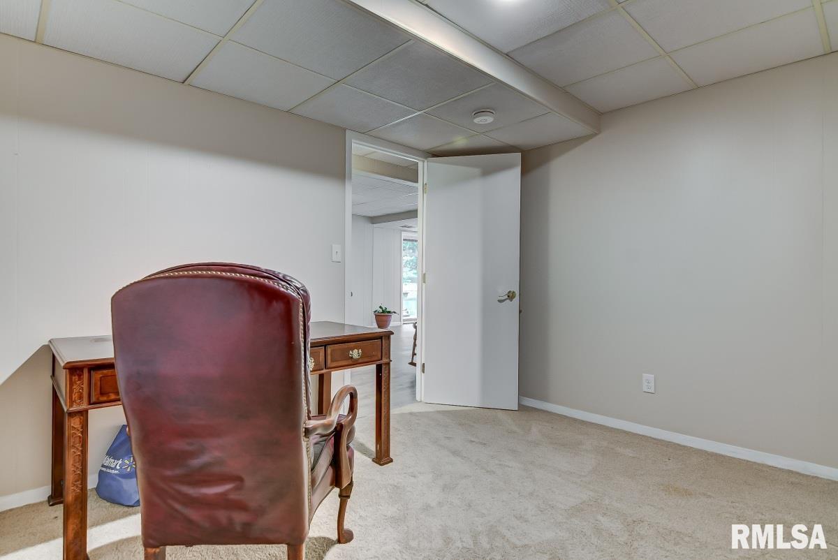 772 Pecan Point Road Petersburg, IL 62675 - Photo 41 of 50 Gallery Image 41