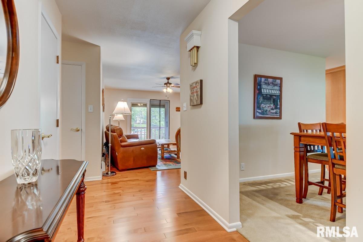 772 Pecan Point Road Petersburg, IL 62675 - Photo 10 of 50 Gallery Image 10