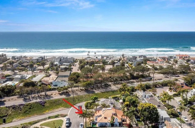 a view of a backyard with plants