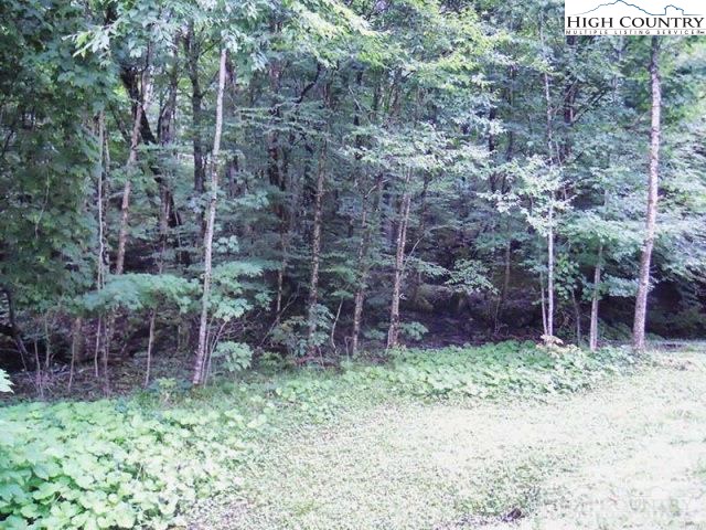 Slopeside Road Beech Mountain, NC 28604 - Photo 1 of 11 Gallery Image 1