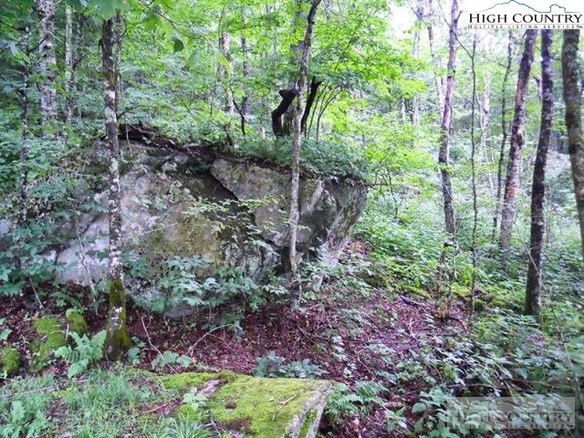 Slopeside Road Beech Mountain, NC 28604 - Photo 11 of 11 Gallery Image 11