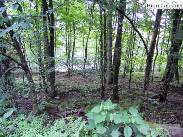 Slopeside Road Beech Mountain, NC 28604 - Photo 2 of 11 Gallery Image 2