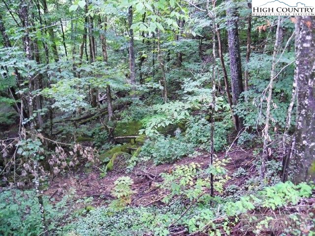 Slopeside Road Beech Mountain, NC 28604 - Photo 3 of 11 Gallery Image 3