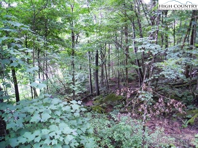 Slopeside Road Beech Mountain, NC 28604 - Photo 4 of 11 Gallery Image 4