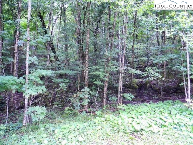 Slopeside Road Beech Mountain, NC 28604 - Photo 6 of 11 Gallery Image 6