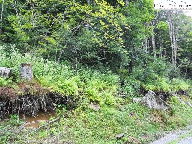 Slopeside Road Beech Mountain, NC 28604 - Photo 7 of 11 Gallery Image 7