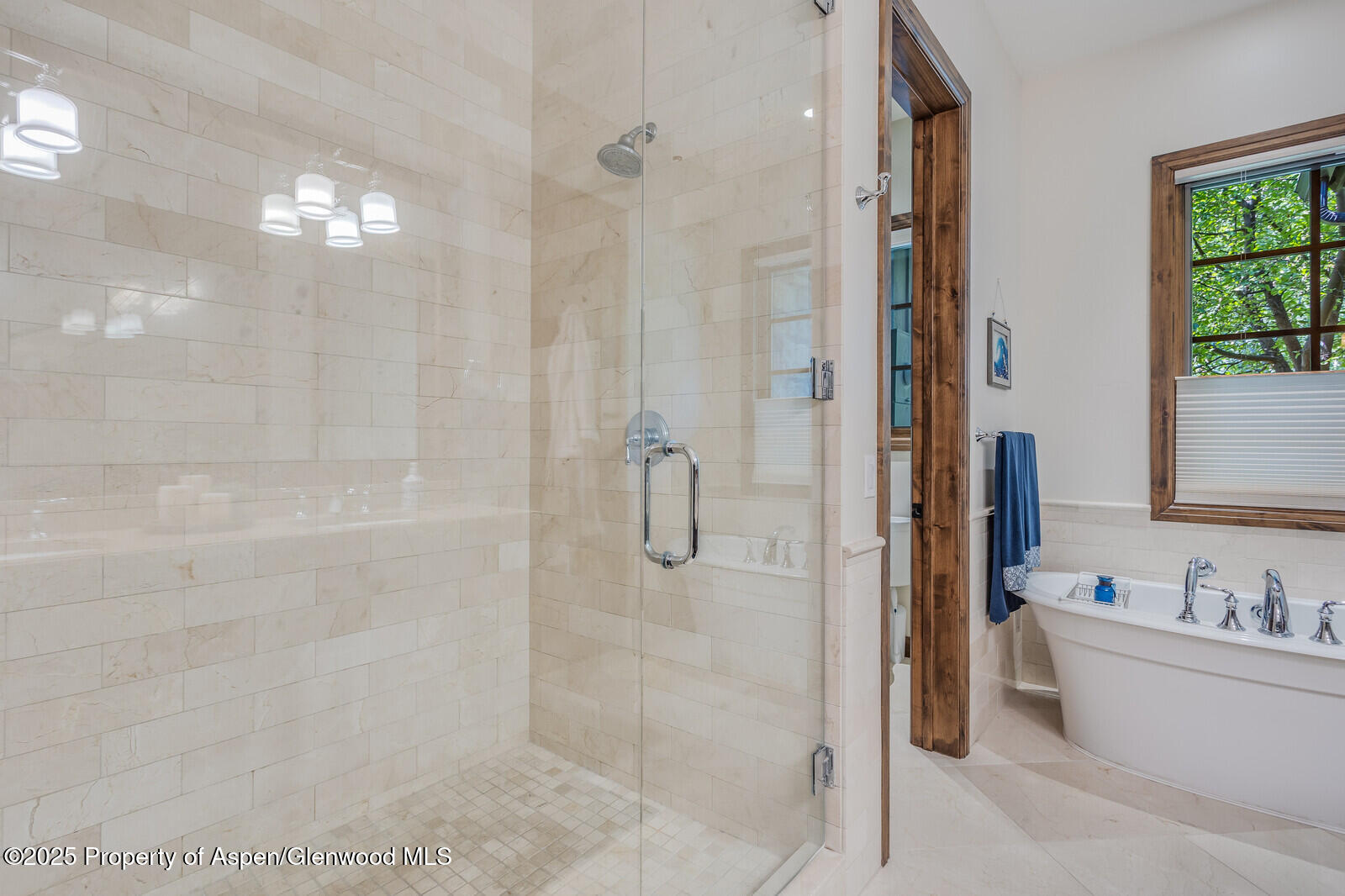 12 River's Bend Carbondale, CO 81623 - Photo 17 of 25 Primary shower