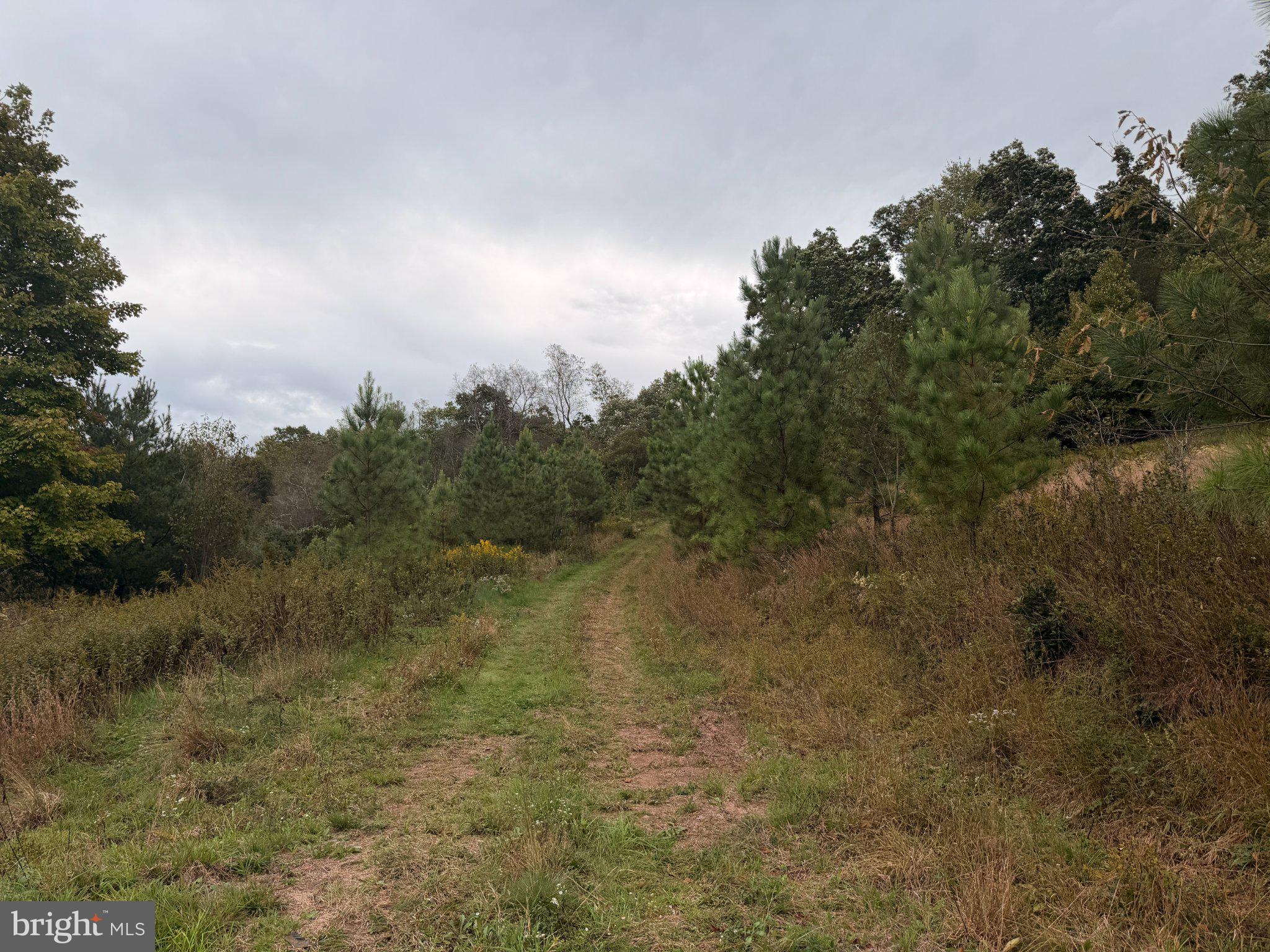 2504 Boiling Spring Road Deer Park, MD 21550 - Photo 56 of 67 Access from Calderwood Rd
