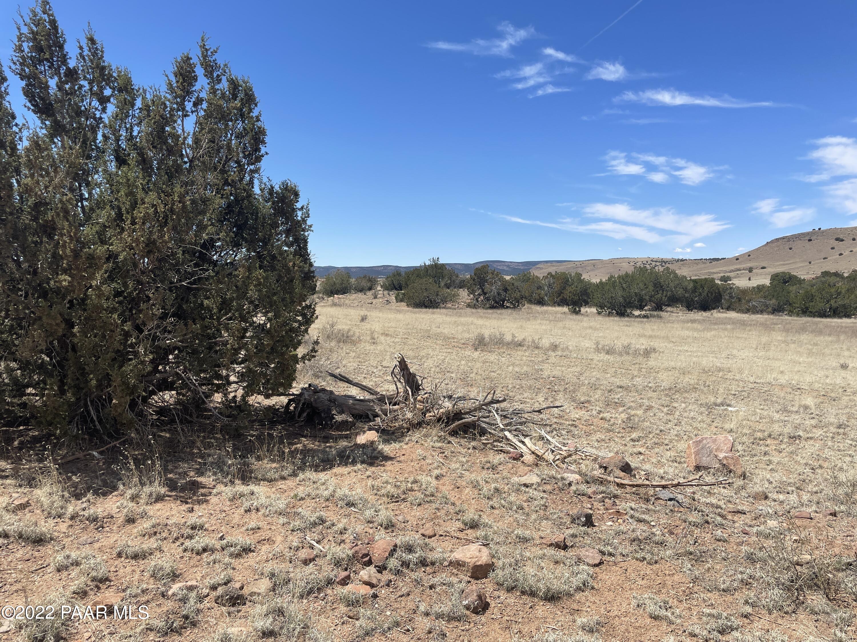 Lot 446 Williamson Valley Road Seligman, AZ 86337 - Photo 1 of 23 Lot 446 Williamson Valley Rd (25)