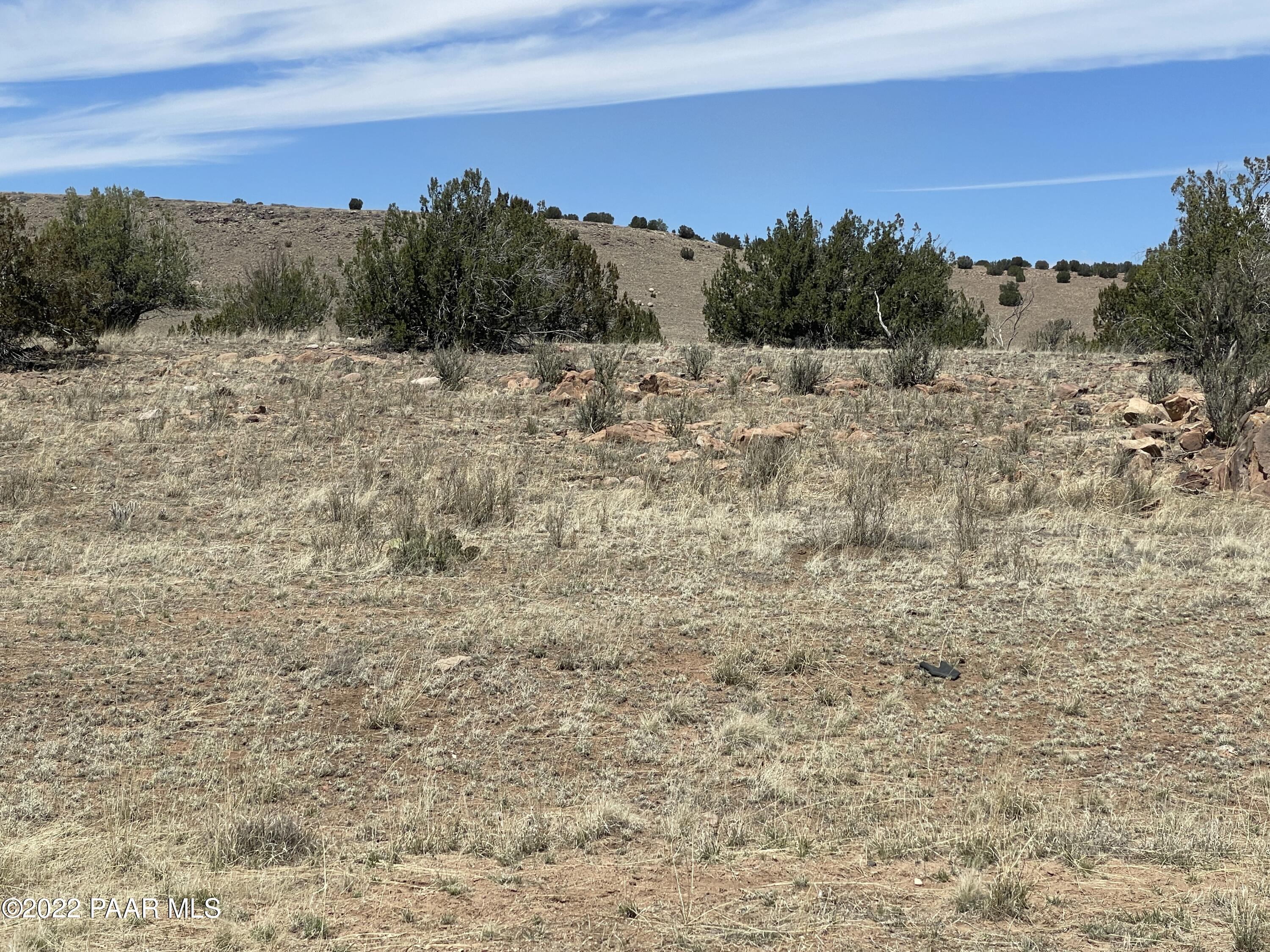 Lot 446 Williamson Valley Road Seligman, AZ 86337 - Photo 11 of 23 Lot 446 Williamson Valley Rd (11)
