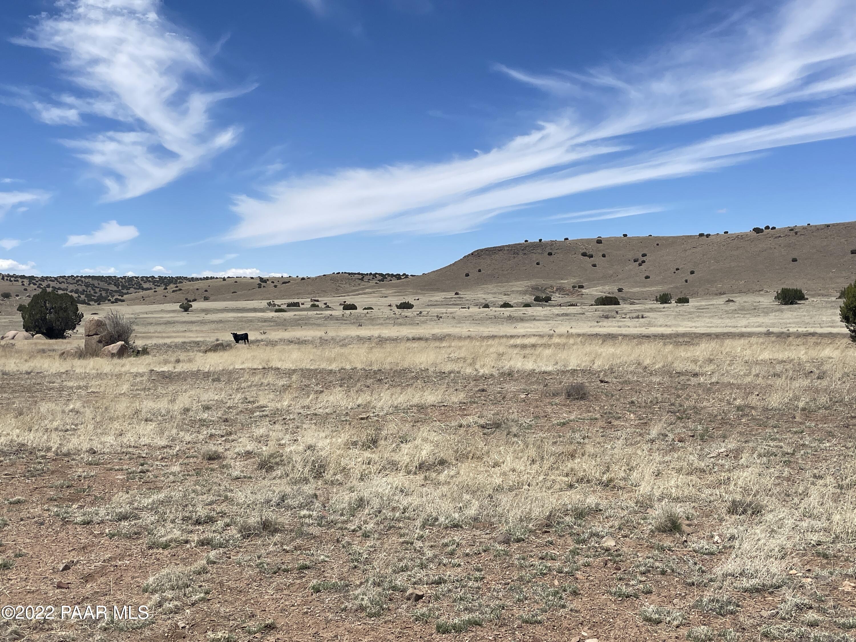 Lot 446 Williamson Valley Road Seligman, AZ 86337 - Photo 17 of 23 Lot 446 Williamson Valley Rd (17)