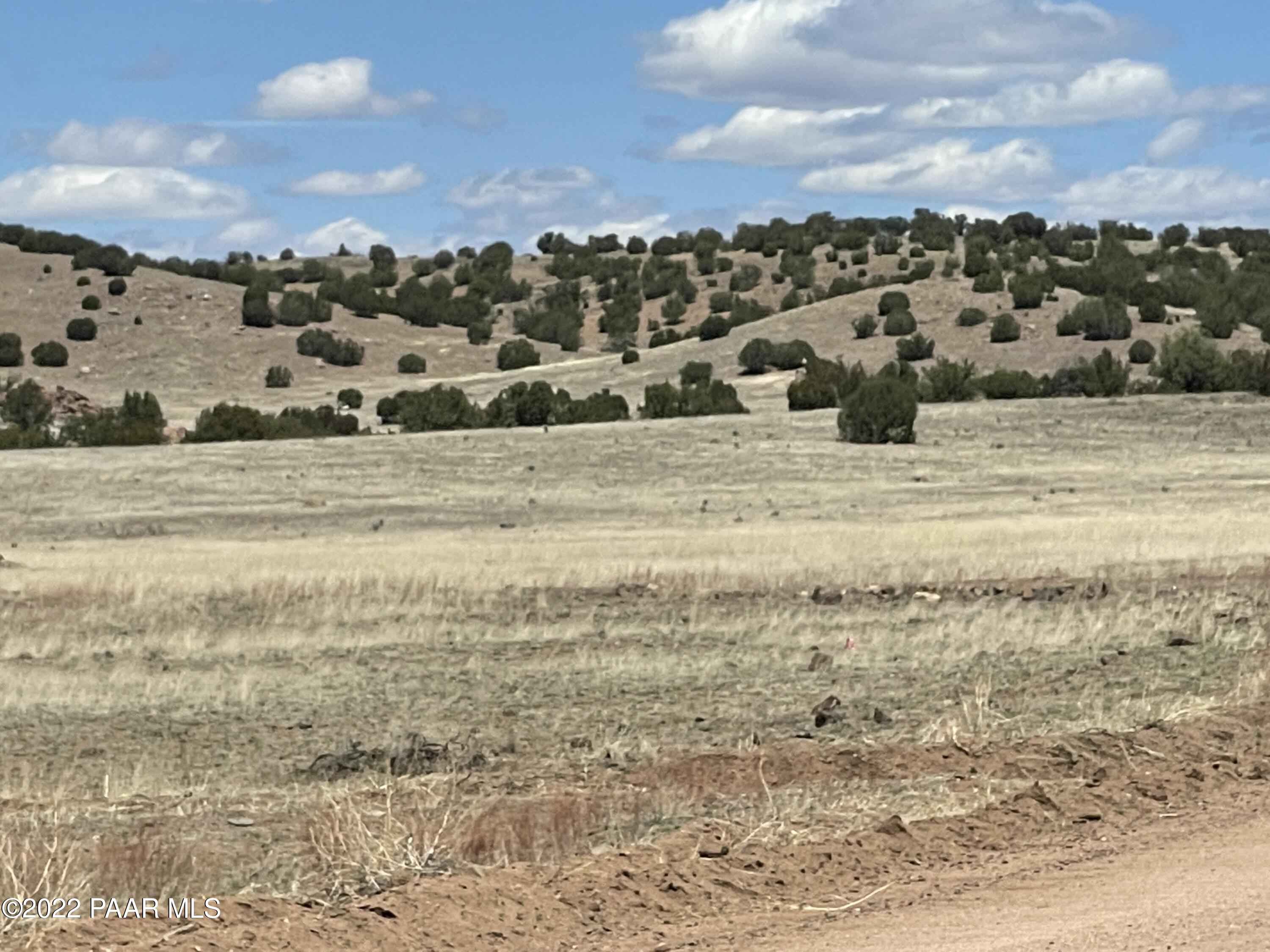 Lot 446 Williamson Valley Road Seligman, AZ 86337 - Photo 18 of 23 Lot 446 Williamson Valley Rd (18)