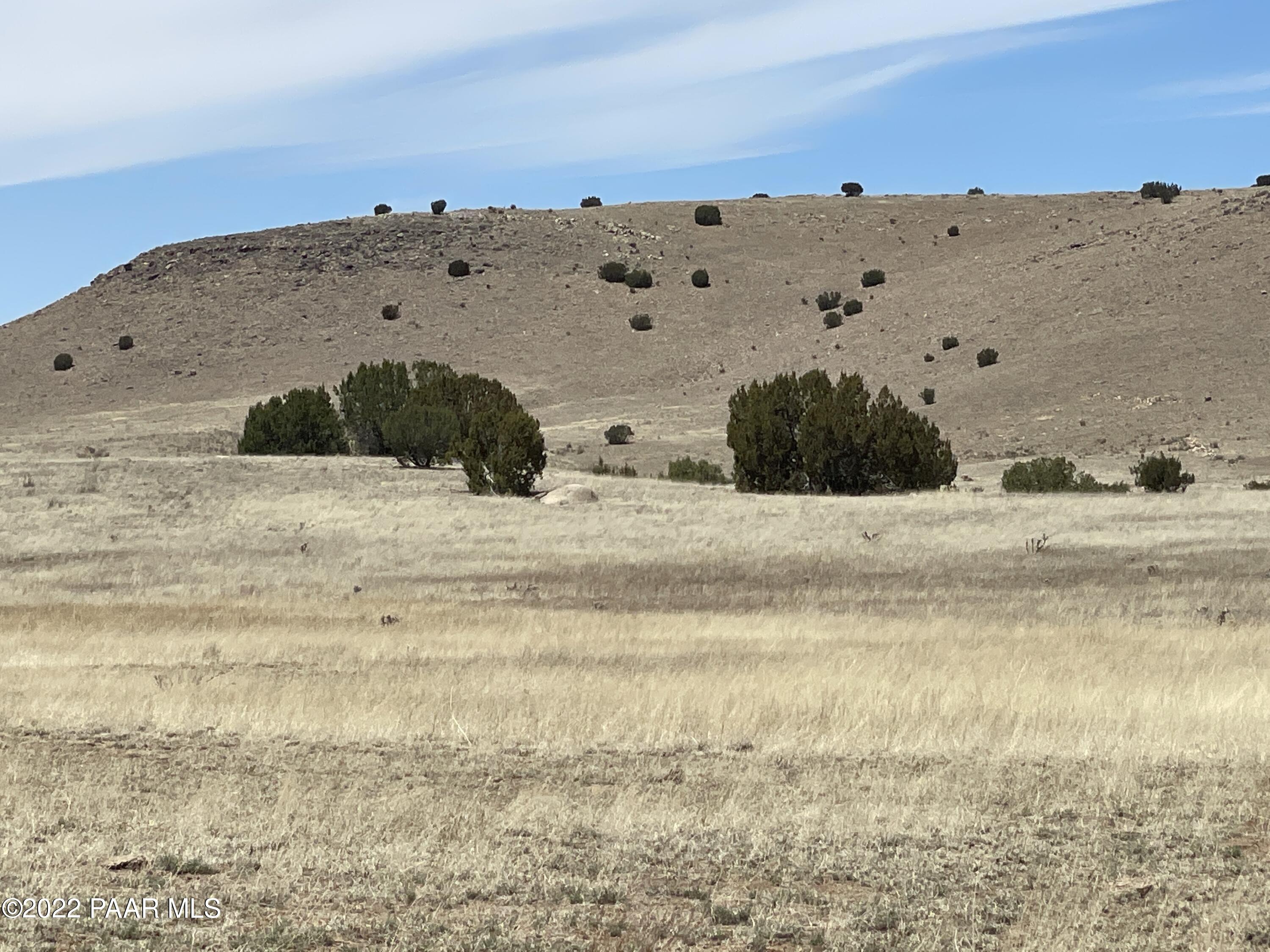 Lot 446 Williamson Valley Road Seligman, AZ 86337 - Photo 19 of 23 Lot 446 Williamson Valley Rd (19)