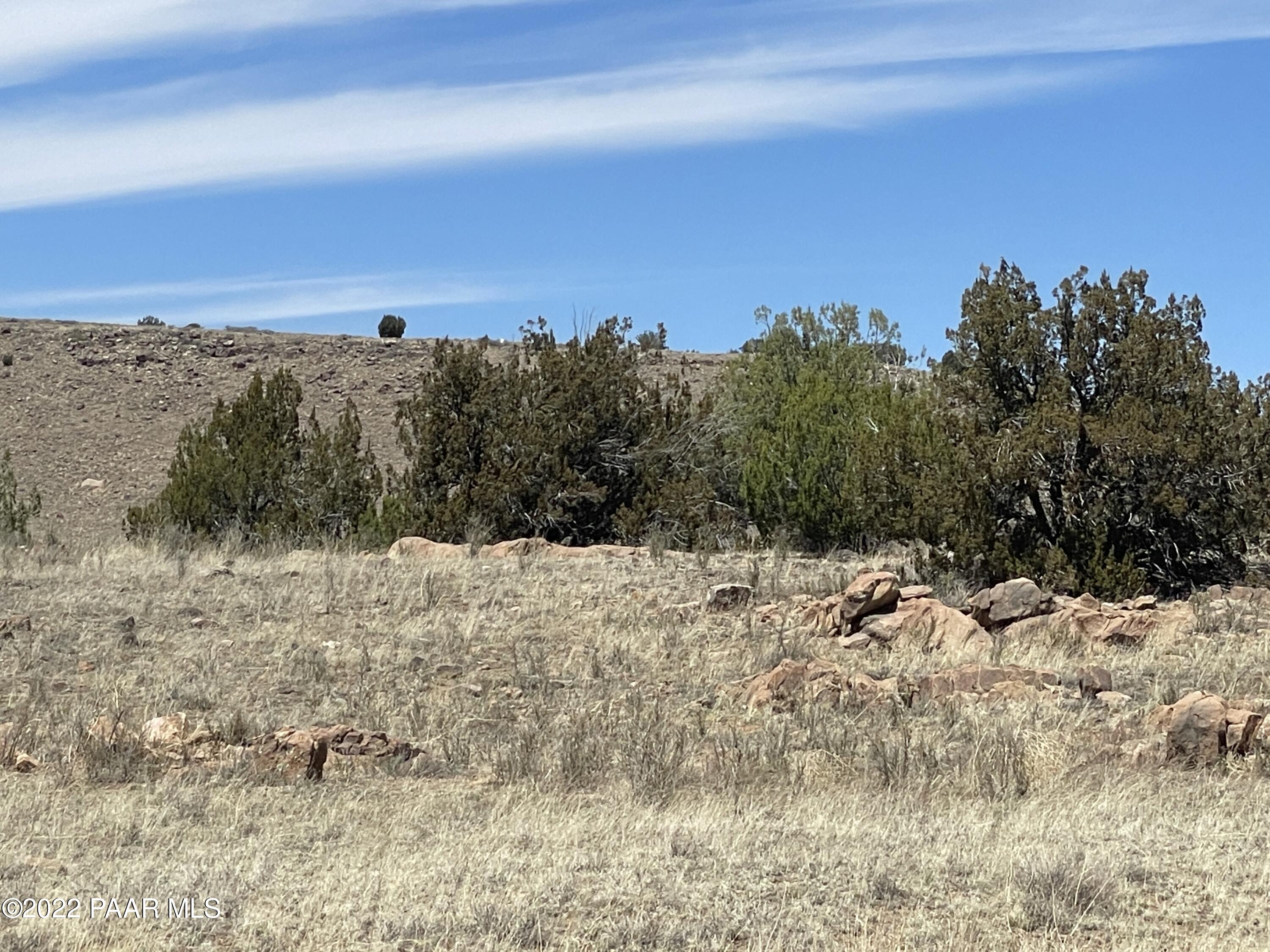Lot 446 Williamson Valley Road Seligman, AZ 86337 - Photo 2 of 23 Lot 446 Williamson Valley Rd (24)