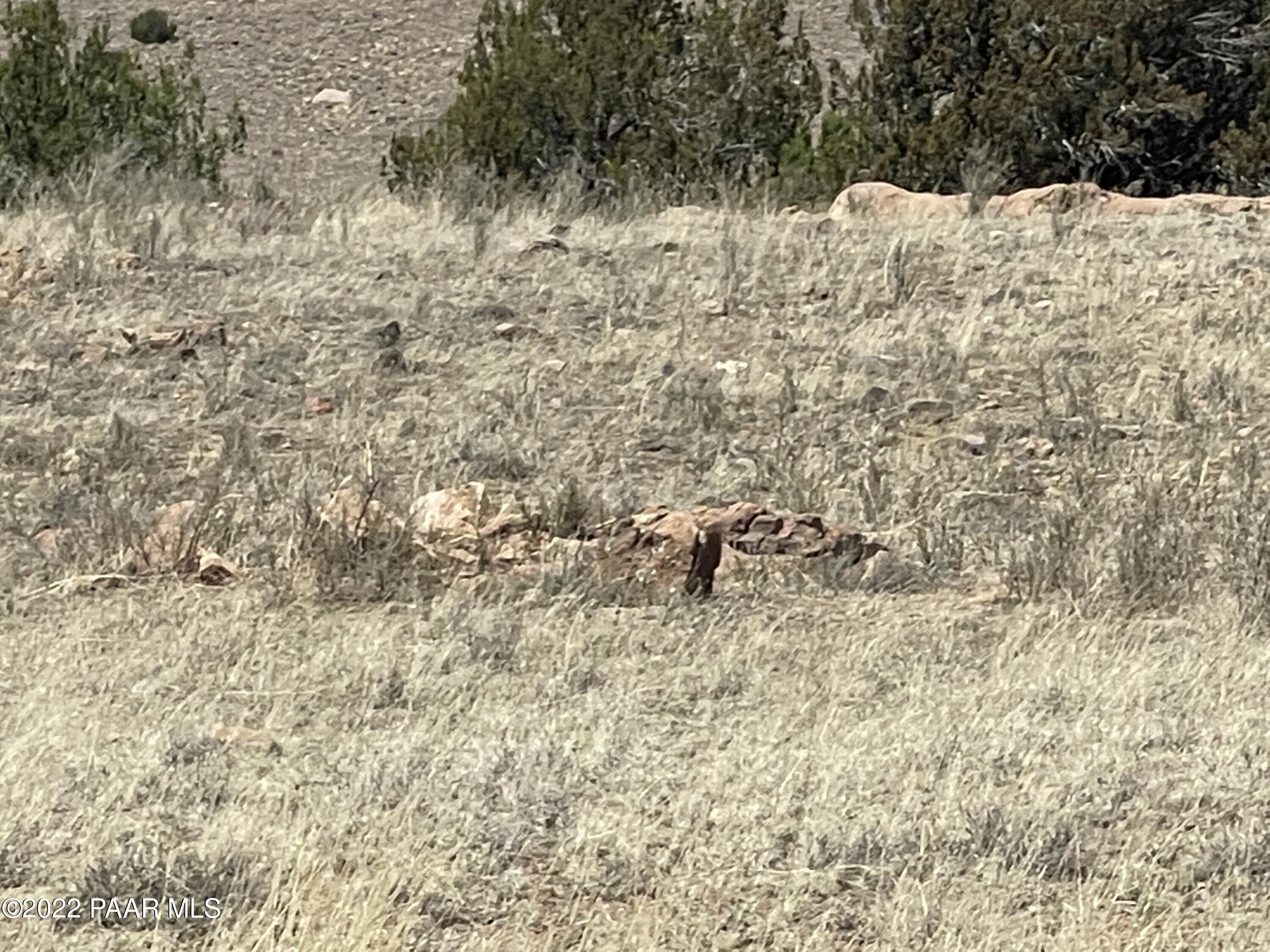Lot 446 Williamson Valley Road Seligman, AZ 86337 - Photo 23 of 23 Lot 446 Williamson Valley Rd (23)