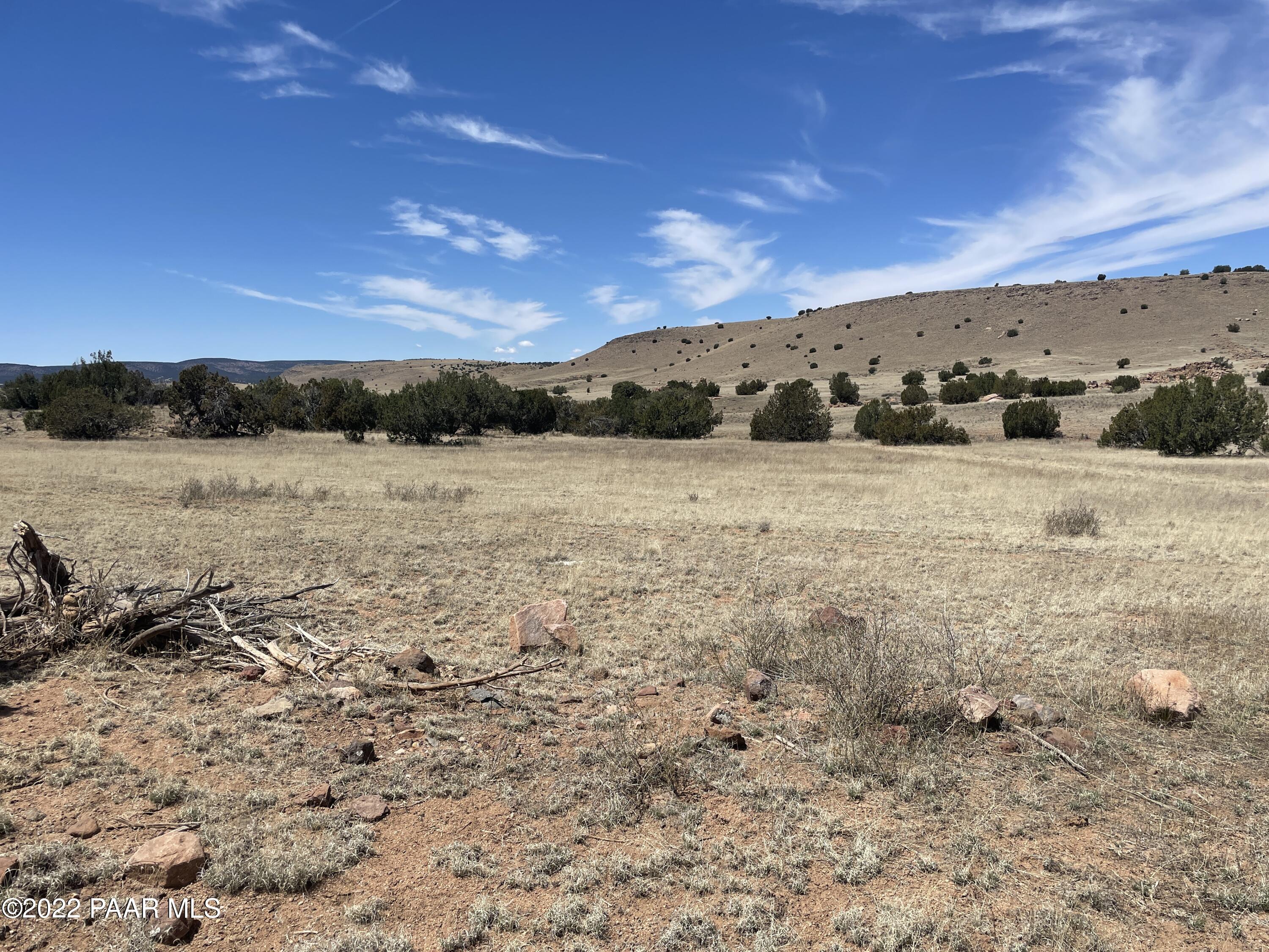 Lot 446 Williamson Valley Road Seligman, AZ 86337 - Photo 4 of 23 Lot 446 Williamson Valley Rd (1)