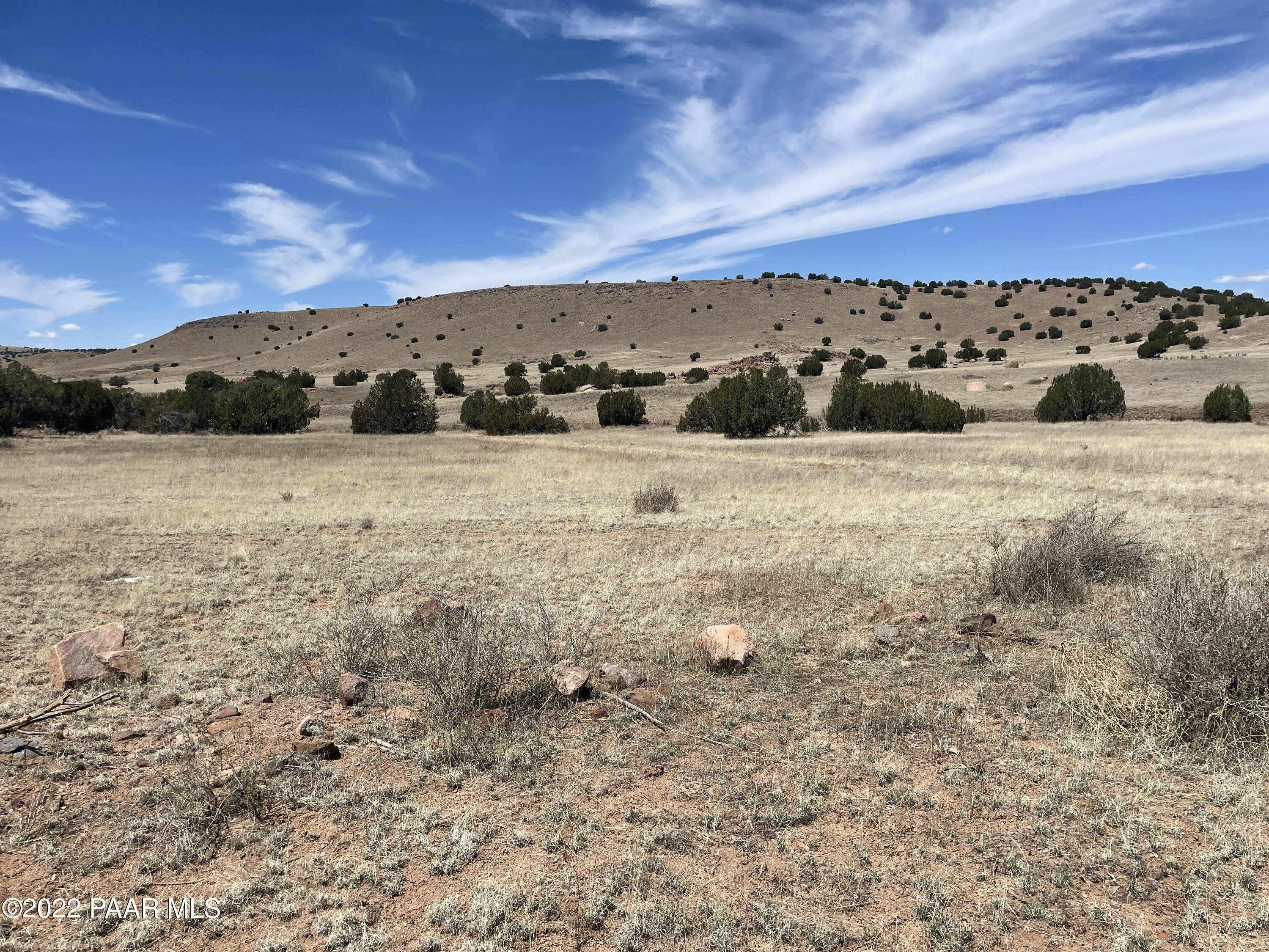 Lot 446 Williamson Valley Road Seligman, AZ 86337 - Photo 5 of 23 Lot 446 Williamson Valley Rd (2)