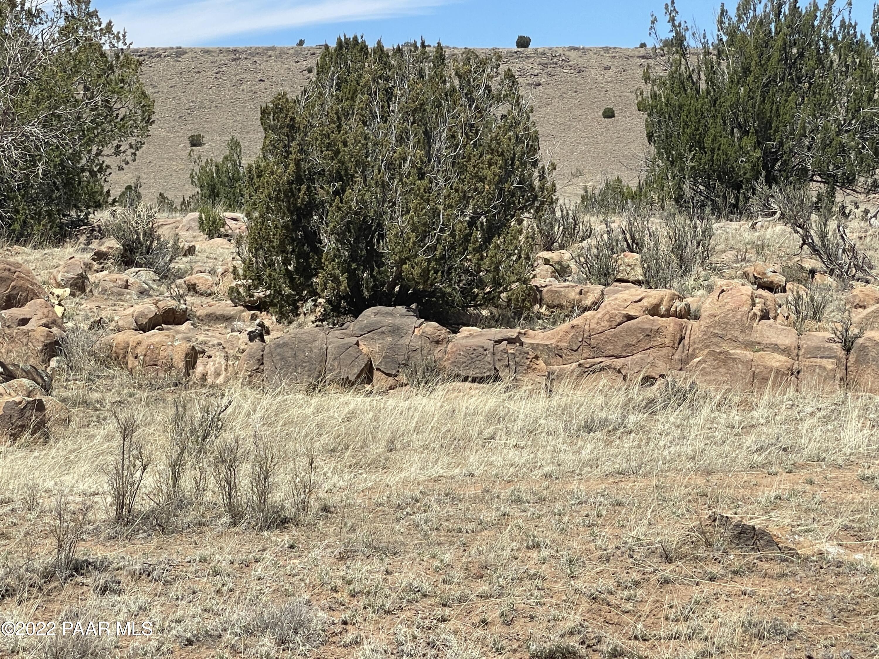 Lot 446 Williamson Valley Road Seligman, AZ 86337 - Photo 7 of 23 Lot 446 Williamson Valley Rd (4)
